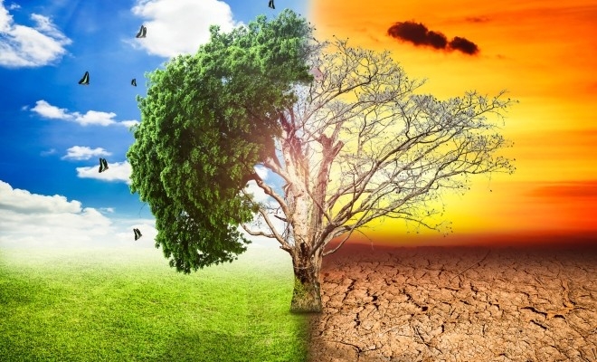 NTQ2MTMyMTA0MzQ5NzE2MzGvwOCIzOFn8MAkSJaIiokpohDtTx_CGWxO02B8WMaRhwQmx2uRjVA0qA5KQfTBl6ApTZ1QRL1_Ita9M6v5M66BbsVOO78O5gJtQw8W_SR2